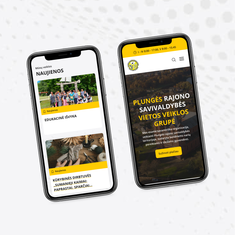 Plungės VVG Project